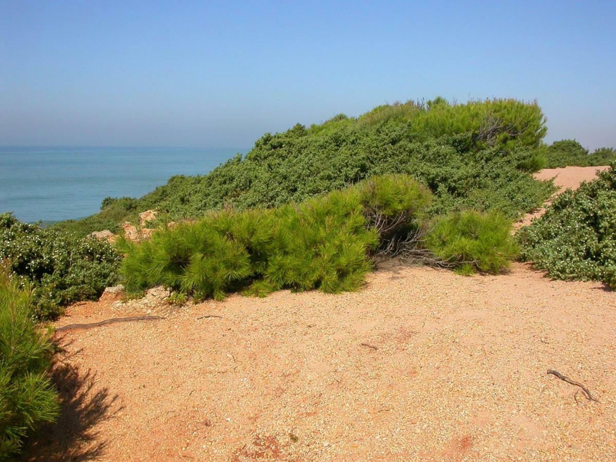 Chalet En Roche كونيل ذي لا فرونتيرا المظهر الخارجي الصورة